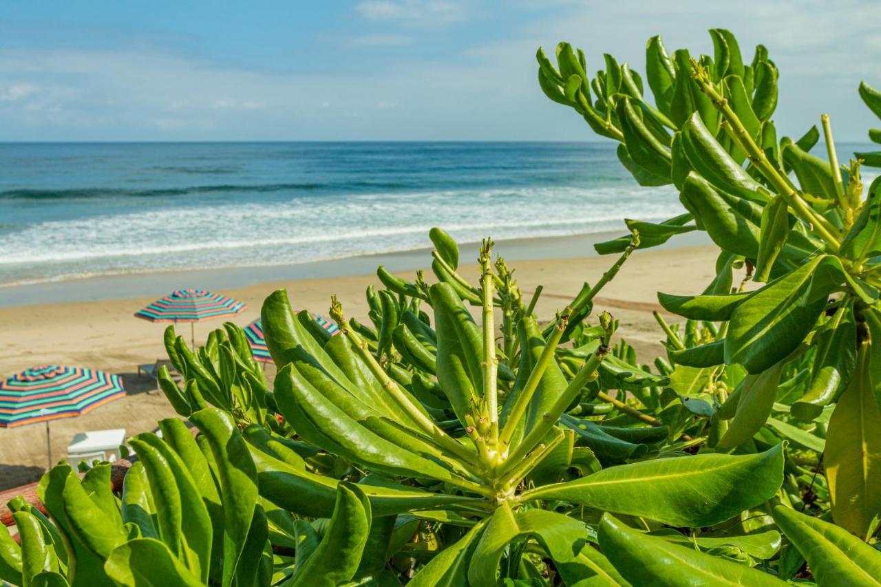 Marsai Hotel Boutique (Adults Only) Punta Mita Exterior foto